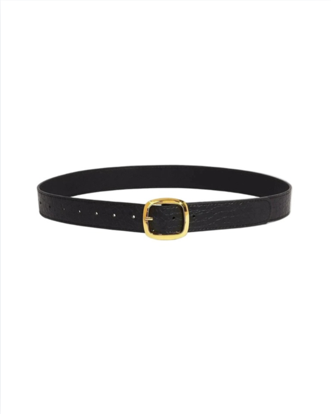 Wide Belt
